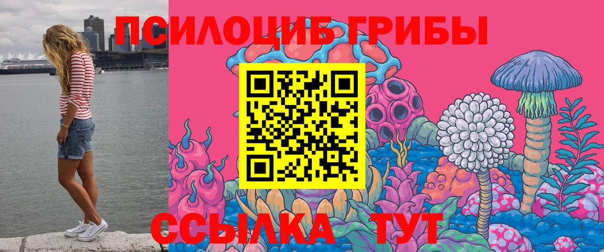 Аргун  Псилоцибиновые грибы Psilocybine cubensis  Псилоцибиновые грибы мухоморы  Вход с VPN 
