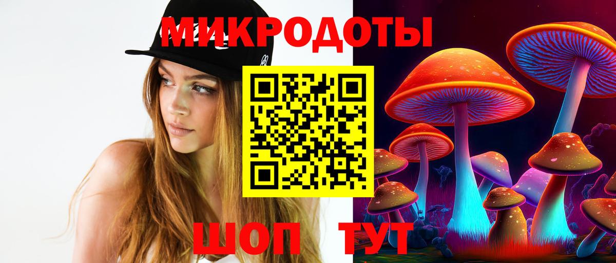 Галлюциногенные грибы Psilocybe Аргун